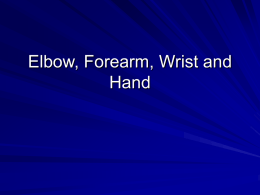 Elbow, Forearm, Wrist and Hand
