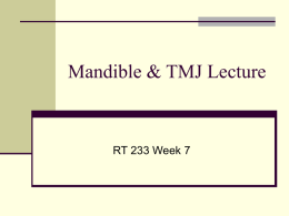 Mandible Lecture - El Camino College