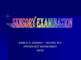 01-Sensory Exam2008-11