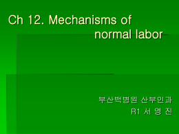 Ch 12. Mechanisms of normal labor