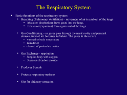 2304Respiratory