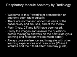 Respiratory-Anatomy-by-Radiology-Sept