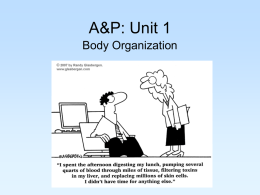 Unit 1 - Body Organization Notes