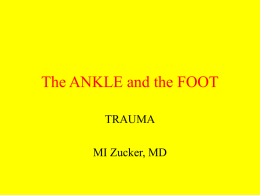 The ANKLE and the FOOT