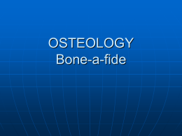 OSTEOLOGY