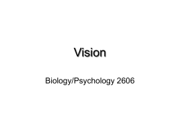 Vision - Dave Brodbeck