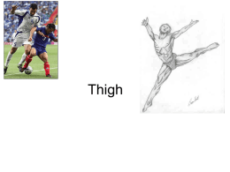 Thigh
