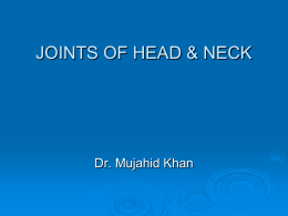 27-Joints Head & Neck