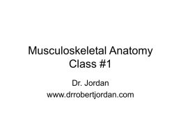 Orientatiion MSK I - Dr. Robert Jordan