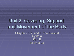 Unit 2: Covering, Support, and Movement of the Body