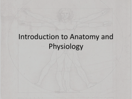 Intro to Anatomy
