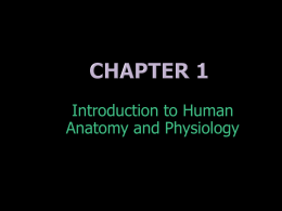 Chapter 1 (Intro) ppt