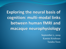 Exploring the neural basis of cognition: multi