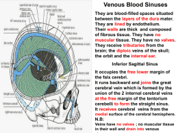 06. venous sinuses