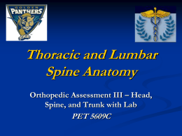 Thoracic and Lumbar Spine Anatomy