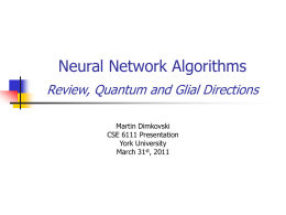 Neural Network Algorithms-Quantum-Glia