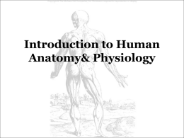 Chapter 1: Introduction to Human Anatomy& Physiology