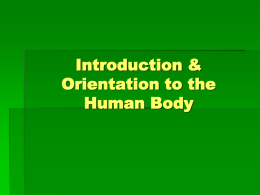 Introduction & Orientation to the Human Body