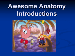 Awesome Anatomy Introductions