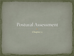 ONE1_02_Postural_Assessment
