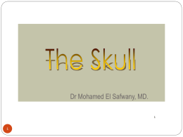 The Skull