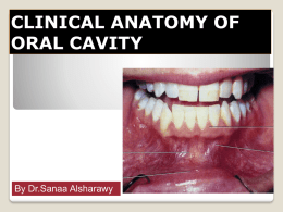 clinical anatomy of oral cavity