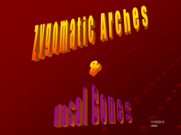 Zygomatic arches & Nasal bones