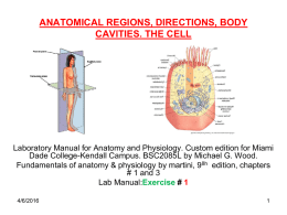 anatomical regions, directions, body cavities. the cell