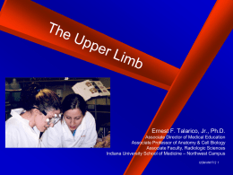The Upper Limb - IU School of Medicine - Northwest