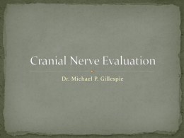 One1_05_Cranial_Nerve_Evaluation