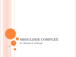 Kinesiology05_Shoulder_Complex1