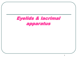 1._Eyelids_and_Lacrimal_Apparatus