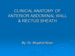 clinical anatomy of anterior abdominal wall & rectus sheath