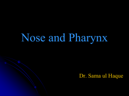 1_Nose and Pharynx_3