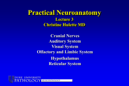 Lecture 3 - Cranial Nerves - Duke Department of Pathology
