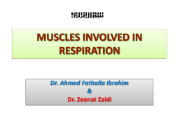 L2-THE MUSCLES INVOLVED IN RESPIRATION 2014