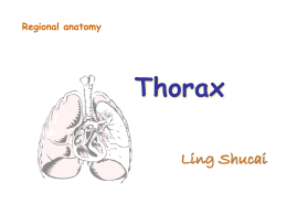 凌树才_局解Thorax