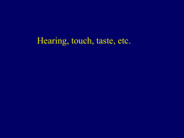 Hearing, lateral line, electrorecept.