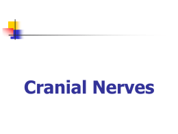 18. Cranial Nerves