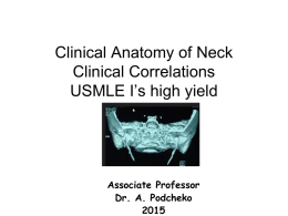 Clinical Anatomy of Neck and Clinical Correlations