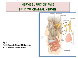 Lecture 13- 5th & 7th cranial nerves-Dr saeed