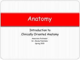 Introduction to Clinical Anatomy