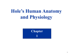 chapter_1_powerpoint_hagerty - YISS-Anatomy2010-11