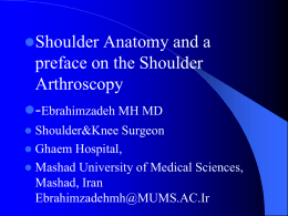 Anatomy of the shoulder and its arthroscopic considerations