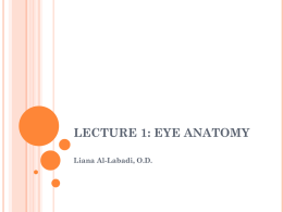 Eye Anatomy - Dsapresents.org