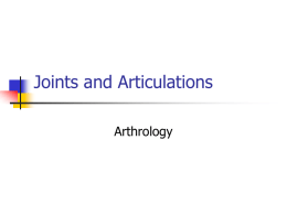 4. Joints and Ligaments