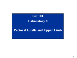 Bio101_Lab8