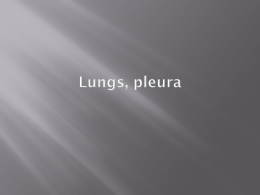 42. Lungs, pleura