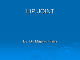 21.Hip Joint2008-05