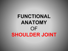 07-Shoulder Joint